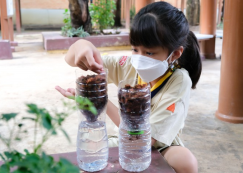 <strong>Read more about</strong><br>ป.3 ปลูกพืชไร้ดินในขวดพลาสติก "ผักชีกับผักบุ้ง" (8 มิ.ย.66) ป.3 ปลูกพืชไร้ดินในขวดพลาสติก "ผักชีกับผักบุ้ง" (8 มิ.ย.66)