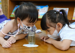 <strong>Read more about</strong><br>อนุบาล 2 กิจกรรมสังเกตการเจริญเติบโตของกบ (พ. 28 มิ.ย.66) อนุบาล 2 กิจกรรมสังเกตการเจริญเติบโตของกบ (พ. 28 มิ.ย.66)