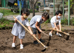 <strong>Read more about</strong><br>อนุบาล 3 เตรียมดินแปลงนา (4, 6 ก.ค.66) อนุบาล 3 เตรียมดินแปลงนา (4, 6 ก.ค.66)