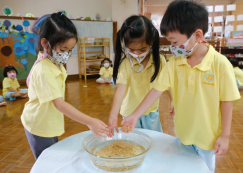 <strong>Read more about</strong><br>กิจกรรมแช่ข้าว ในเรือนอนุบาล (จ. 10 ก.ค.66) กิจกรรมแช่ข้าว ในเรือนอนุบาล (จ. 10 ก.ค.66)