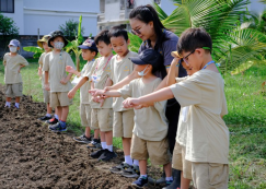 <strong>Read more about</strong><br>ป.1 บูรณาการ "ปลูกผัก" ณ สวน 100 ปี เฉลิม จิตกล้า (29 พ.ค.67) ป.1 บูรณาการ "ปลูกผัก" ณ สวน 100 ปี เฉลิม จิตกล้า (29 พ.ค.67)
