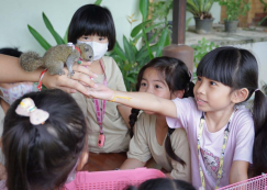 <strong>Read more about</strong><br>ป.1 กิจกรรม Mini Zoo (5 พ.ค.67) ป.1 กิจกรรม Mini Zoo (5 พ.ค.67)