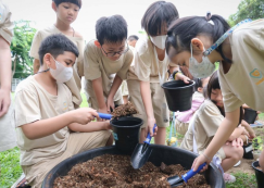 <strong>Read more about</strong><br>ป.2 เปลี่ยนกระถางดอกไม้ (24 ก.ค.67) ป.2 เปลี่ยนกระถางดอกไม้ (24 ก.ค.67)