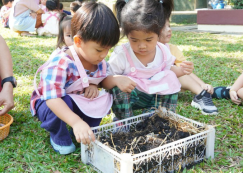<strong>Read more about</strong><br>น้องเด็กเล็กปลูกผักบุ้ง (จ. 10 ก.พ. 68) น้องเด็กเล็กปลูกผักบุ้ง (จ. 10 ก.พ. 68)