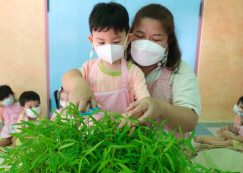 <strong>Read more about</strong><br>น้องเด็กเล็กเก็บผักบุ้งที่ปลูก และทำผักบุ้งชุบแป้งทอด 27-28 ก.พ. 68 น้องเด็กเล็กเก็บผักบุ้งที่ปลูก และทำผักบุ้งชุบแป้งทอด 27-28 ก.พ. 68