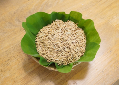 <strong>Read more about</strong><br>กิจกรรมเกษตร บ้านเด็กเล็ก (แช่และห่อเมล็ดข้าว) ๑๖-๑๘ มิ.ย. ๖๘ กิจกรรมเกษตร บ้านเด็กเล็ก (แช่และห่อเมล็ดข้าว) ๑๖-๑๘ มิ.ย. ๖๘