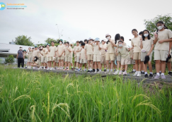 <strong>Read more about</strong><br>ป.๕ สำรวจแปลงนาและทำชิ้นงาน (๑๙ ก.ย.๖๘) ป.๕ สำรวจแปลงนาและทำชิ้นงาน (๑๙ ก.ย.๖๘)