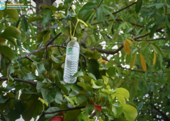 <strong>Read more about</strong><br>ป.๕ เรียนรู้เรื่องทิศผ่านกิจกรรมการหาไข่และสอยไก่ (๒๖ ก.ย.๖๘) ป.๕ เรียนรู้เรื่องทิศผ่านกิจกรรมการหาไข่และสอยไก่ (๒๖ ก.ย.๖๘)