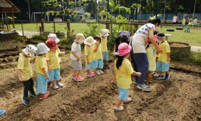 โครงการหนูชอบปลูกผัก อ.๑/๓ ปลูกแครอท (๑๓ ม.ค.๖๖) FLEXI_IMAGE 1