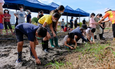 ป.5 เตรียมดิน..ย่ำดิน..ปลูกข้าว (20-21 มิ.ย.66) Image 1