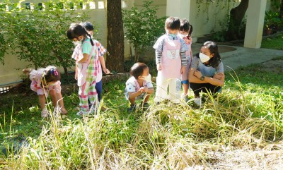 กิจกรรมเกษตร บ้านเด็กเล็ก (เกี่ยวข้าว) จ. 20 พ.ย. 66 FLEXI_IMAGE 1