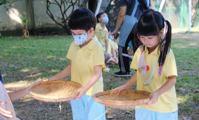 กิจกรรมเกษตร อนุบาล 2 นวดข้าวและฝัดข้าว (ศ. 24 พ.ย.66) FLEXI_IMAGE 1