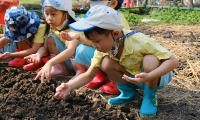 อนุบาล 2 ปลูกผักสวนครัว (17, 19 ม.ค.67) FLEXI_IMAGE 1