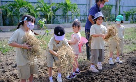 ป.1 บูรณาการ &quot;ปลูกผัก&quot; ณ สวน 100 ปี เฉลิม จิตกล้า (29 พ.ค.67 ... Image 8