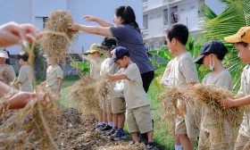 ป.1 บูรณาการ &quot;ปลูกผัก&quot; ณ สวน 100 ปี เฉลิม จิตกล้า (29 พ.ค.67 ... Image 9