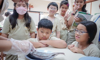 ป.4 ทดลอง &quot;การจำแนกสัตว์&quot; (31 พ.ค.67) FLEXI_IMAGE 1