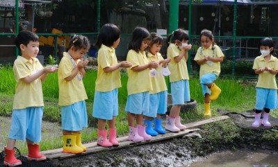 อนุบาล 2 หว่านเมล็ดข้าว (ศ. 12 ก.ค.67) FLEXI_IMAGE 1