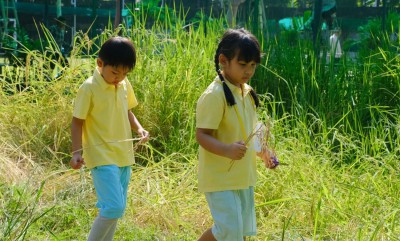 อนุบาล 3 กิจกรรมเกี่ยวข้าว (จ. 11 พ.ย.67) FLEXI_IMAGE 1