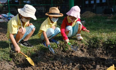 อนุบาล 2 เตรียมดินปลูกผัก (จ. 6 ม.ค.68) FLEXI_IMAGE 1