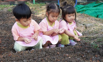 น้องเด็กเล็กปลูกผักสวนครัว (ศ. 17 ม.ค. 68) FLEXI_IMAGE 1