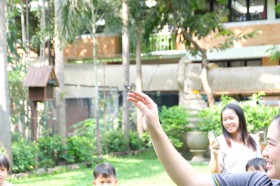 โครงการ &quot;Insects World ผจญภัยไปกับแมลง&quot; (Summer) Image 3