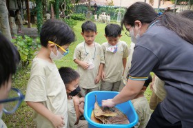 ป.1 กิจกรรมบูรณาการ &quot;little zoo&quot; (21 พ.ค.68) Image 3