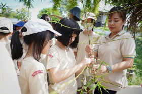 ป.๔ บูรณาการกิจกรรมใบเลี้ยงเดี่ยวกับใบเลี้ยงคู่ (๒๒ พ.ค.๖๘) FLEXI_IMAGE 5