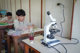 ป.๔ บูรณาการ ทดลองการลำเลียงน้ำของพืช (๒๓ พ.ค.๖๘) Image 4