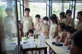 ป.๔ บูรณาการ ทดลองอาหารของพืช (๒๘ พ.ค.๖๘) Image 5