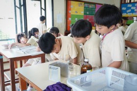 ป.๔ บูรณาการ ทดลองอาหารของพืช (๒๘ พ.ค.๖๘) Image 6