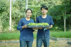 ป.๓ ทัศนศึกษา &quot;กอกล้า การ์เด้น&quot; (๑๖ มิ.ย.๖๘) Image 4