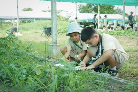 ป.๓ ทัศนศึกษา &quot;กอกล้า การ์เด้น&quot; (๑๖ มิ.ย.๖๘) Image 7