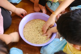 น้องอนุบาล แช่เมล็ดข้าว (จ. ๒๓ มิ.ย.๖๘) Image 6