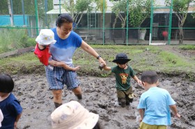 อนุบาล ๑ ย่ำดินเตรียมแปลงนา (อ. ๒๔ มิ.ย.๖๘) Image 6
