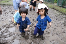 อนุบาล ๑ ย่ำดินเตรียมแปลงนา (อ. ๒๔ มิ.ย.๖๘) Image 8