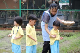 อนุบาล ๑ หว่านเมล็ดข้าว (พฤ. ๒๖ มิ.ย.๖๘) Image 3