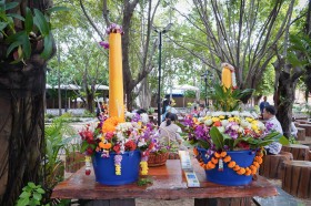 ถวายเทียนพรรษา ณ วัดแทนวันดีเจริญสุข (๘ ก.ค.๖๘) Image 1