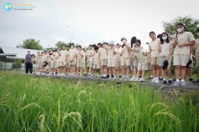 ป.๕ สำรวจแปลงนาและทำชิ้นงาน (๑๙ ก.ย.๖๘) Image 3
