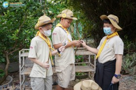 ป.๔ ก่อไฟประกอบอาหาร (๙ ต.ค.๖๘) Image 3