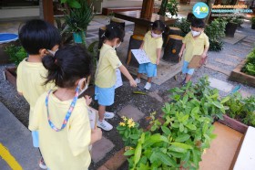 อนุบาล ๑ ตามหาแมลง (จ. ๒๙ ก.ย.๖๘) Image 5