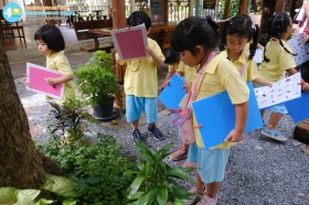 อนุบาล ๑ ตามหาแมลง (จ. ๒๙ ก.ย.๖๘) Image 7