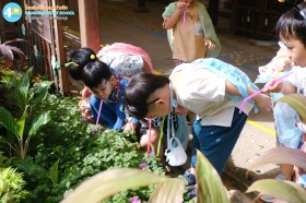 อนุบาล ๑ บทบาทสมมติตามหาน้ำหวาน (พ. ๑ ต.ค.๖๘) Image 2