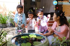 อนุบาล ๑ บทบาทสมมติตามหาน้ำหวาน (พ. ๑ ต.ค.๖๘) Image 5