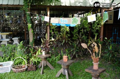 อนุบาล ๑ เล่นสนุกกับใบไม้ (ศ. ๑๗ ต.ค.๖๘) Image 1