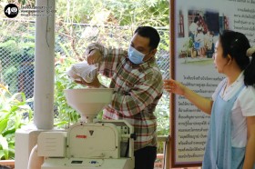 อนุบาลดูการตีข้าวและสีข้าว (พฤ. ๒๐ พ.ย.๖๘) Image 4