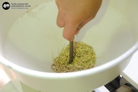 อนุบาลดูการตีข้าวและสีข้าว (พฤ. ๒๐ พ.ย.๖๘) Image 5