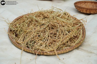 น้องเด็กเล็กเรียนรู้เรื่อง "ข้าว" (๑๘-๒๐ พ.ย. ๖๘) Image 1