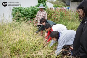 ป.๕ เกี่ยวข้าวกันเถอะ 🌾 (๒๑ พ.ย.๖๘) Image 6