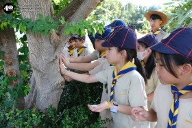 กิจกรรมเข้าค่ายลูกเสือและเนตรนารี ป.๓ (พฤ. ๒๗ พ.ย.๖๘) Image 4