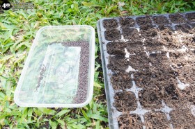 กิจกรรมเกษตร บ้านเด็กเล็ก (๕,๖,๘ ม.ค. ๖๘) Image 4